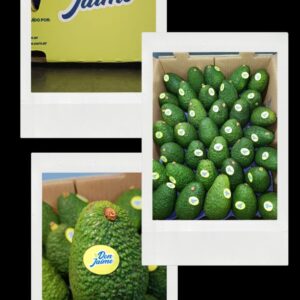 Palta peruana  "Don Jaime" x 10 kg Calibre 84.