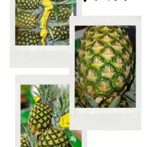 Piña Plafón calibre 8 x 12 kg