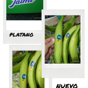 Plátano x 15 kg